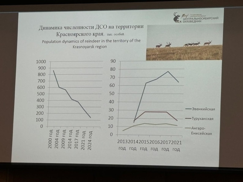 Описание: F:\Рабочий диск\2024-12 Северный олень\-5366213546888783582_121.jpg